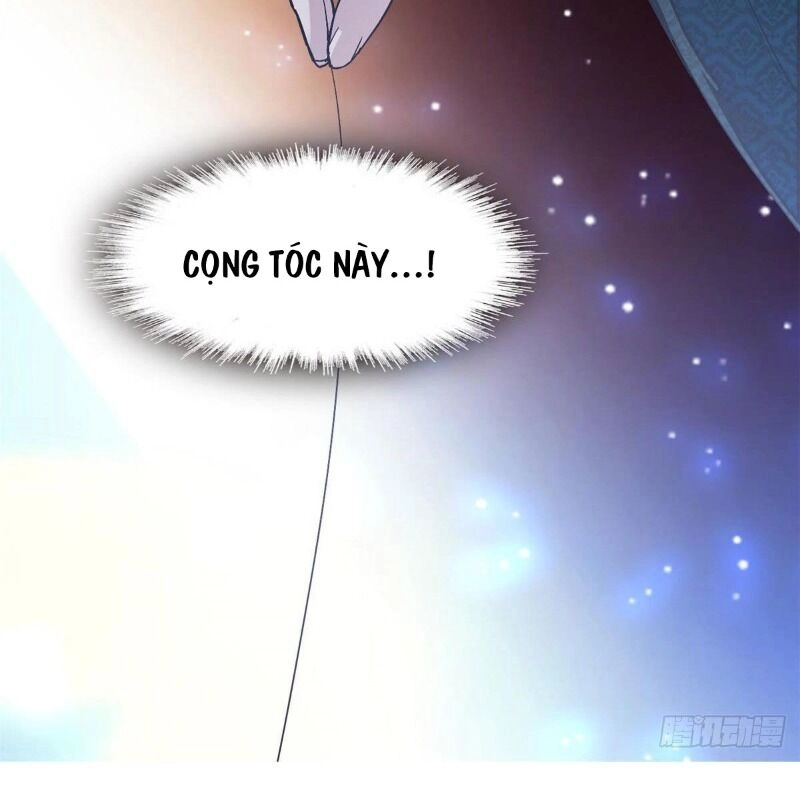 Tự Cẩm Chapter 71 - 84