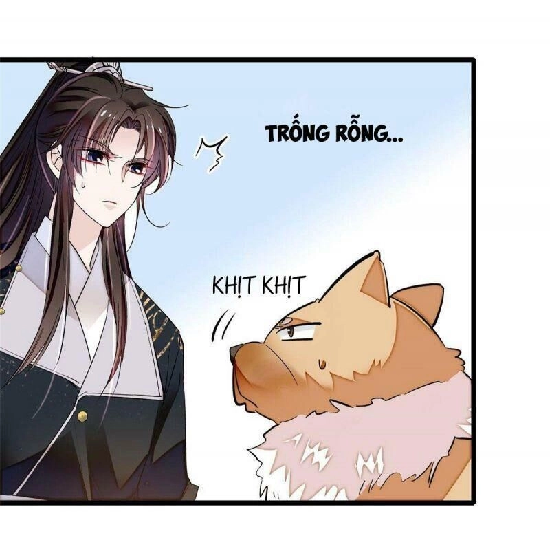 Tự Cẩm Chapter 72 - 33