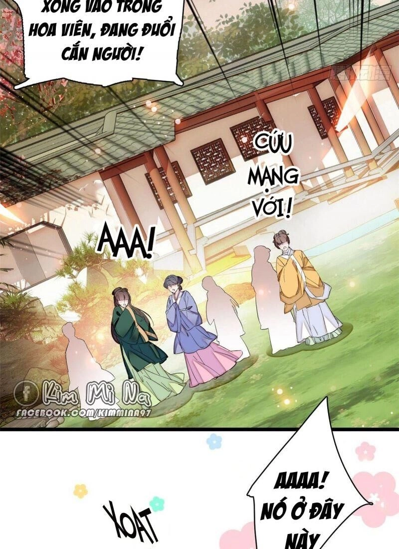 Tự Cẩm Chapter 74 - 11