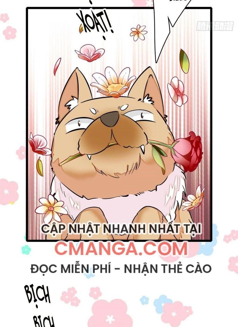Tự Cẩm Chapter 74 - 12