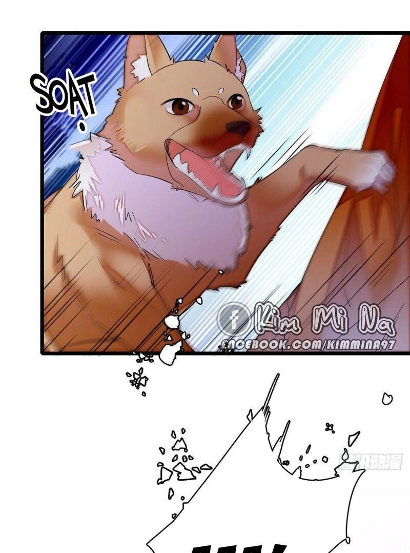 Tự Cẩm Chapter 74 - 14