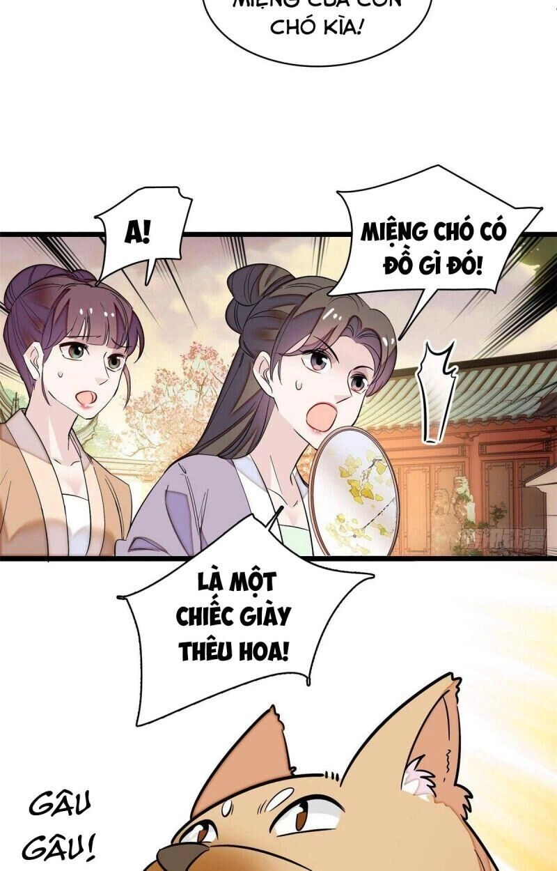Tự Cẩm Chapter 74 - 33