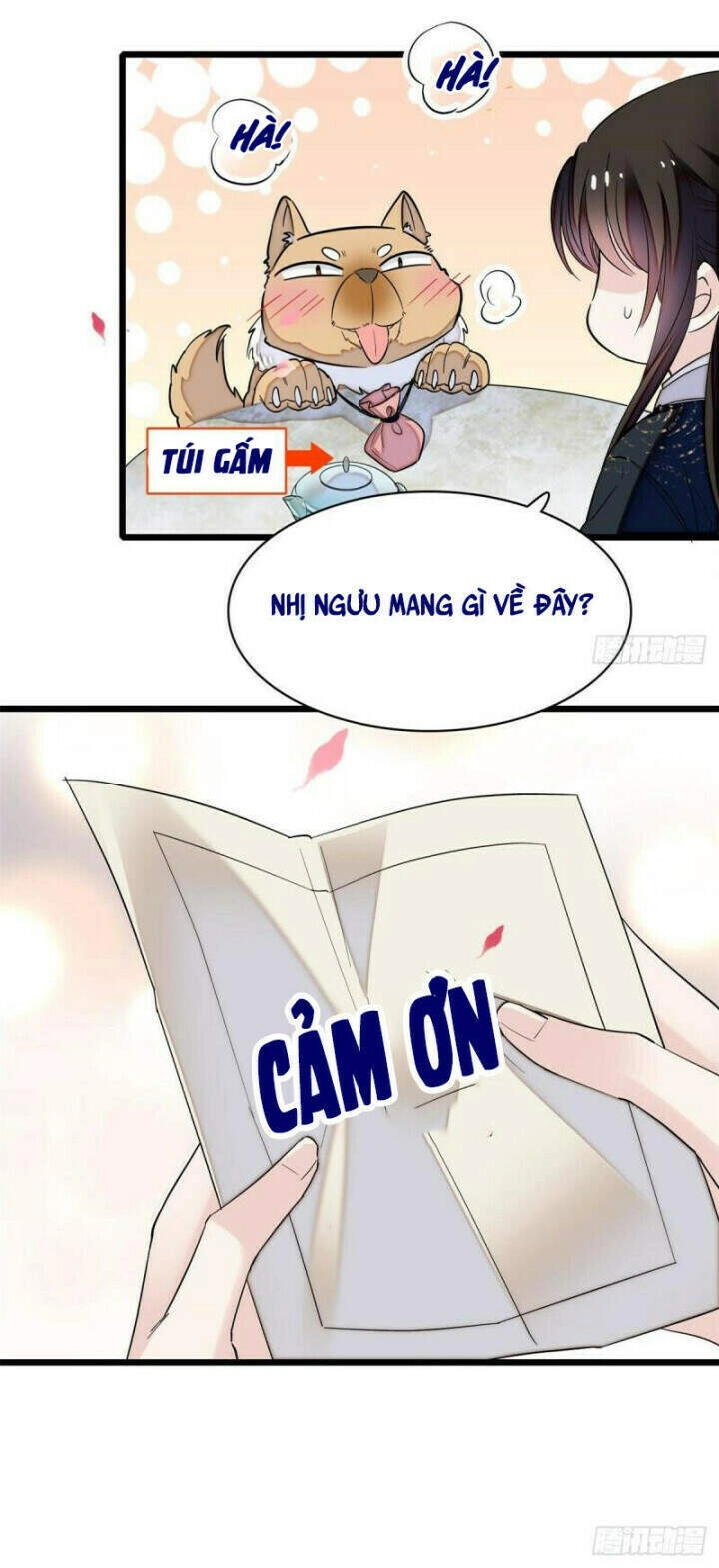 Tự Cẩm Chapter 76 - 14
