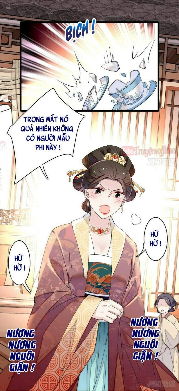 Tự Cẩm Chapter 81 - 8