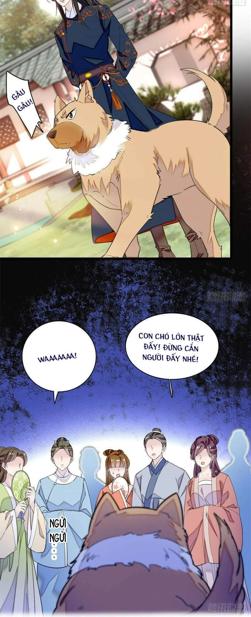 Tự Cẩm Chapter 91 - 4