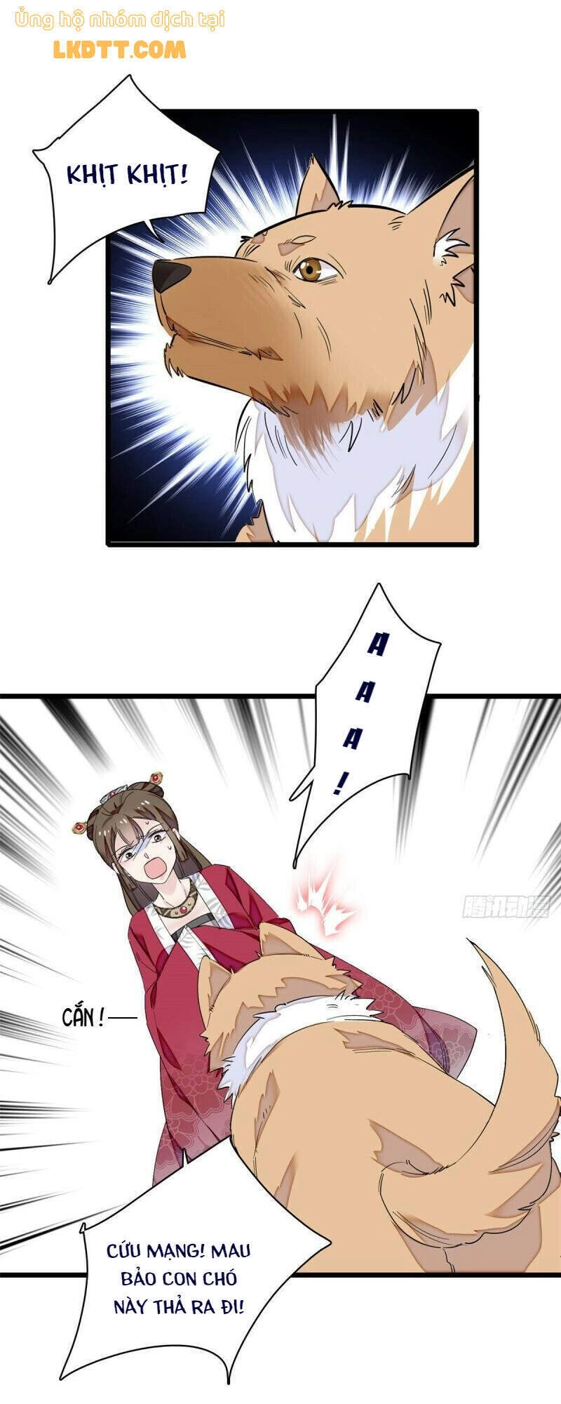 Tự Cẩm Chapter 91 - 5