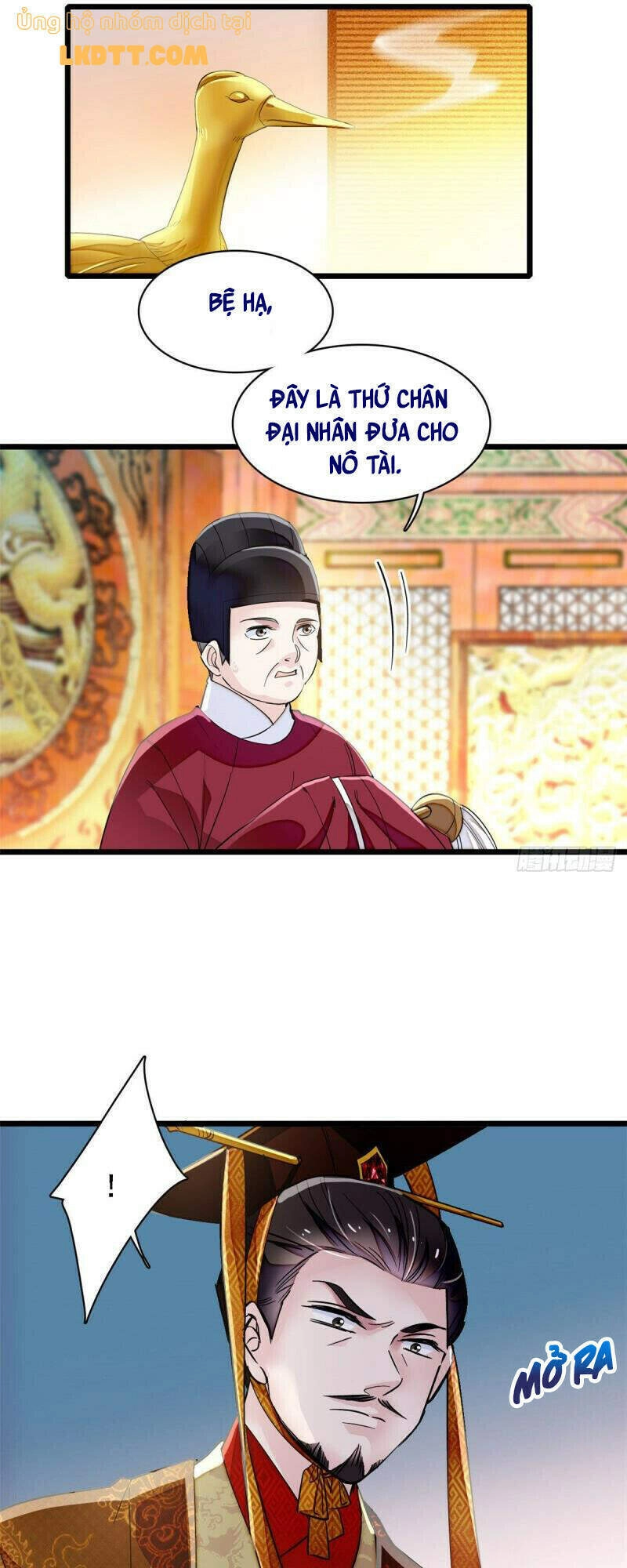 Tự Cẩm Chapter 98 - 13