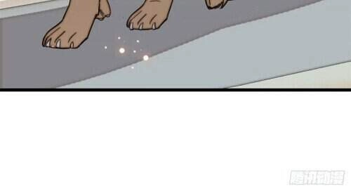 Tự Cẩm Chapter 104 - 16