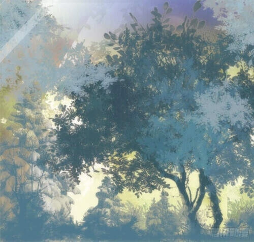 Tự Cẩm Chapter 111 - 12