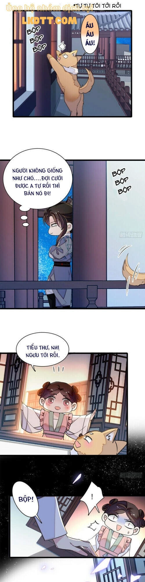 Tự Cẩm Chapter 113 - 10
