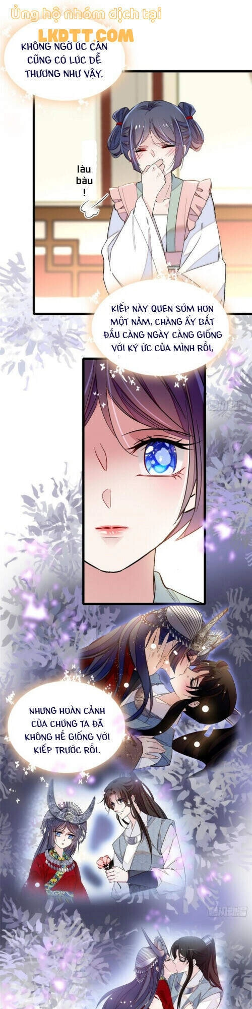 Tự Cẩm Chapter 115 - 13