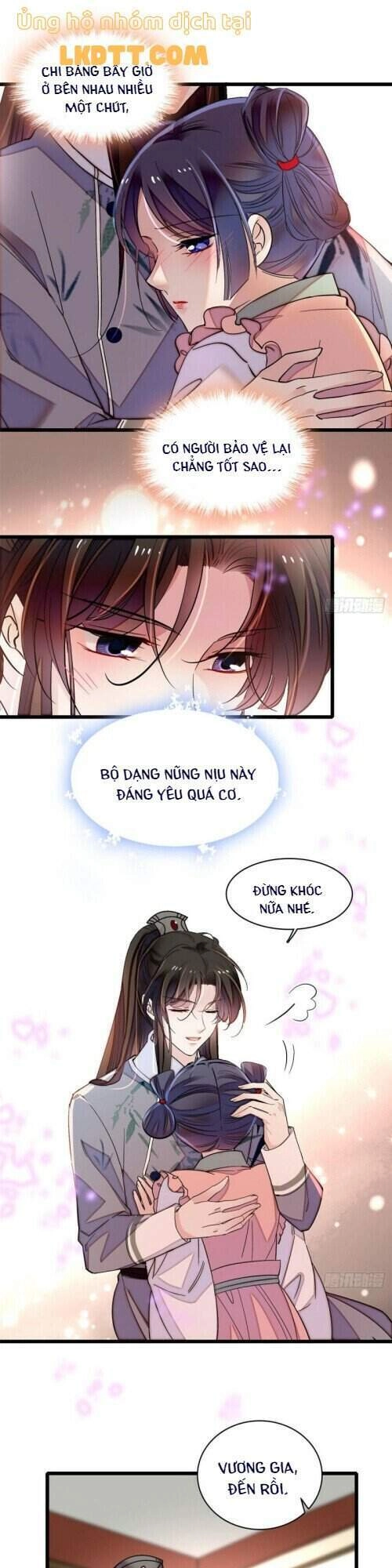 Tự Cẩm Chapter 115 - 17