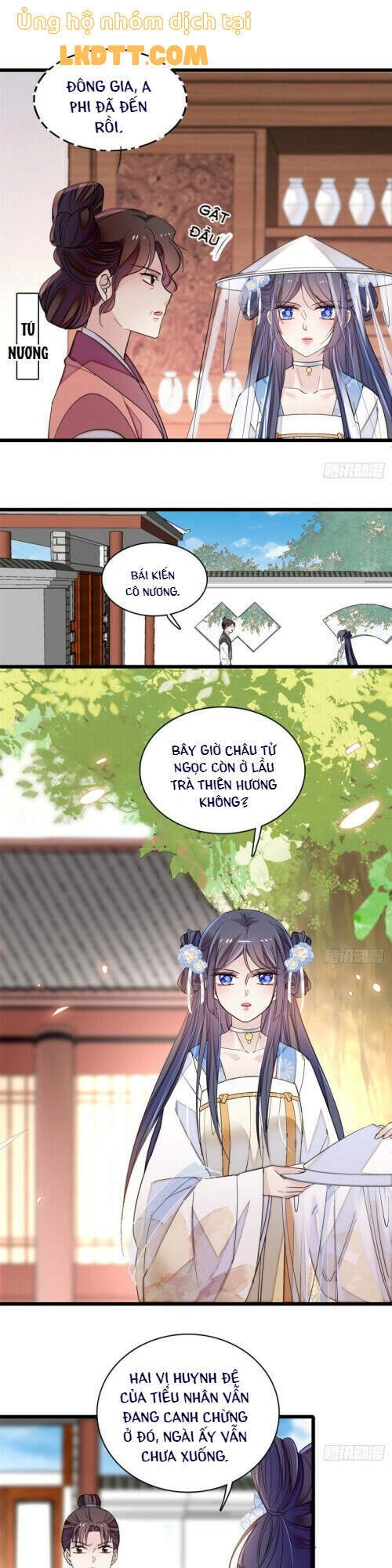 Tự Cẩm Chapter 116 - 6