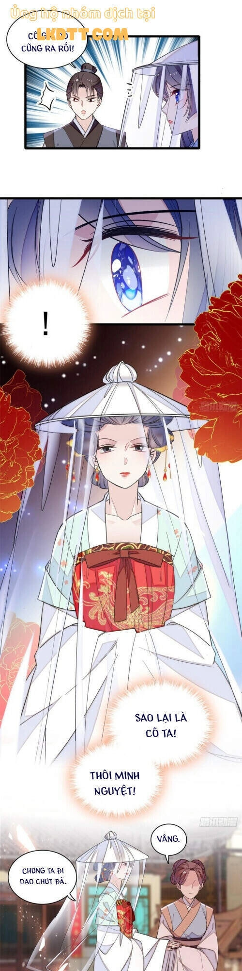 Tự Cẩm Chapter 116 - 14