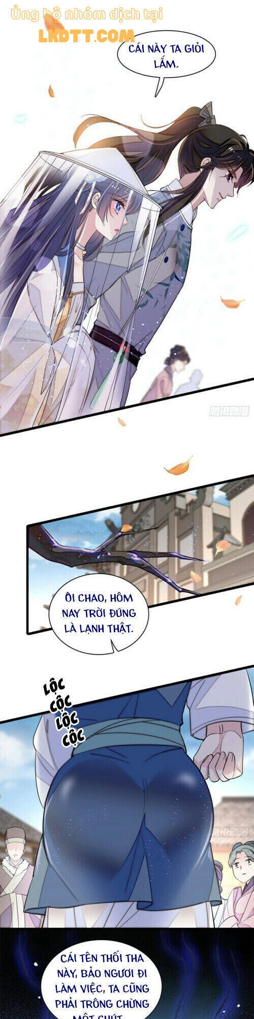 Tự Cẩm Chapter 117 - 13