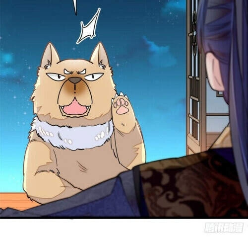 Tự Cẩm Chapter 123 - 22