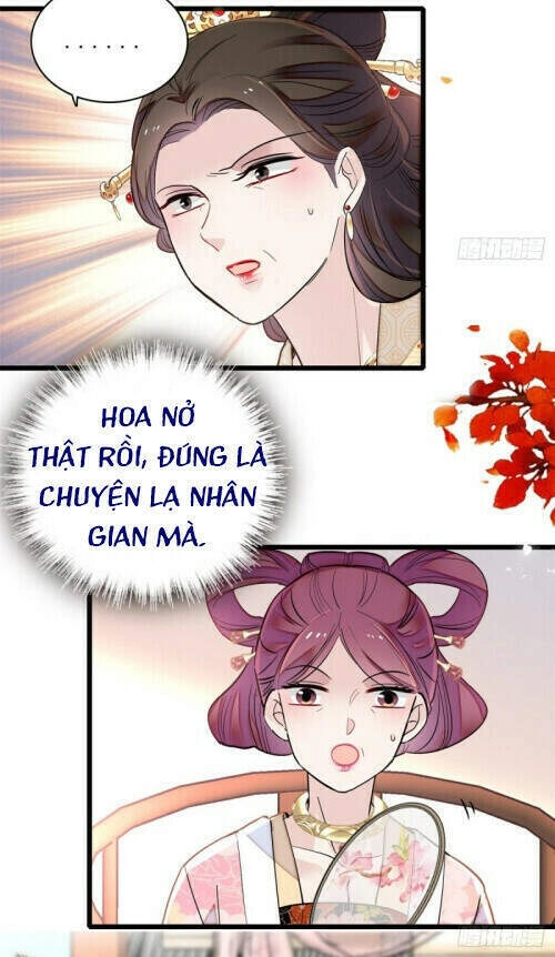 Tự Cẩm Chapter 126 - 4