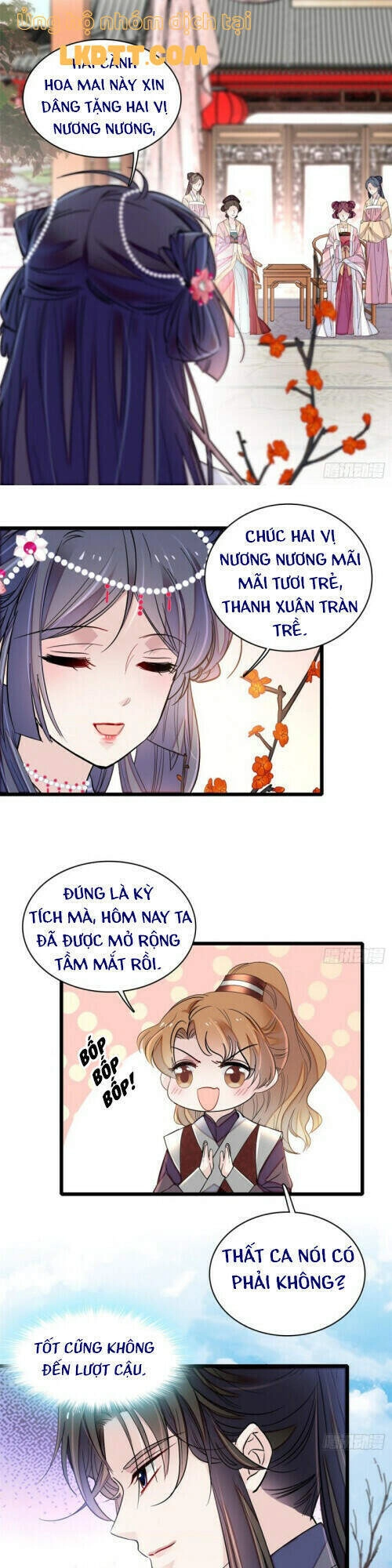 Tự Cẩm Chapter 126 - 5