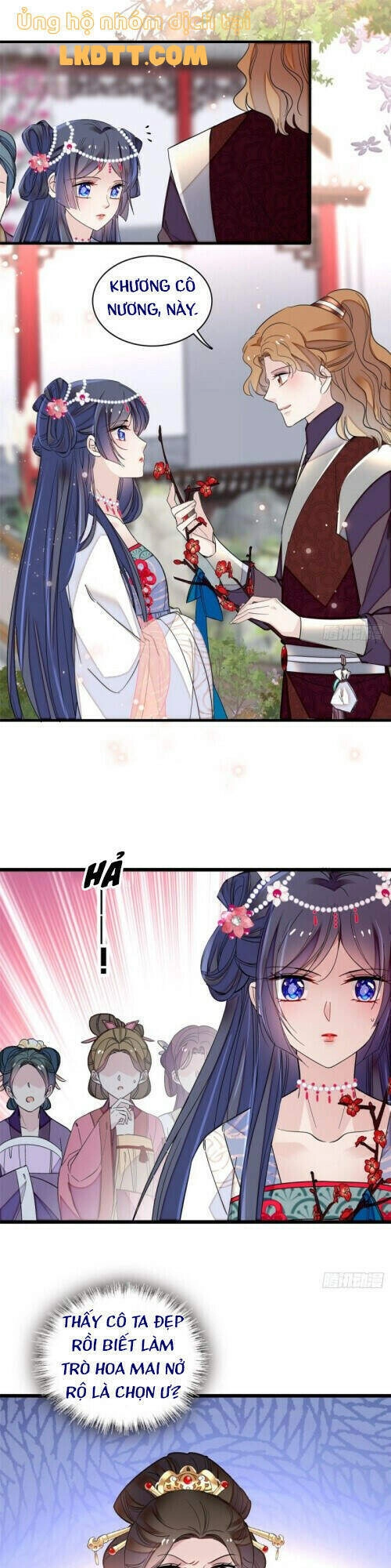 Tự Cẩm Chapter 126 - 19