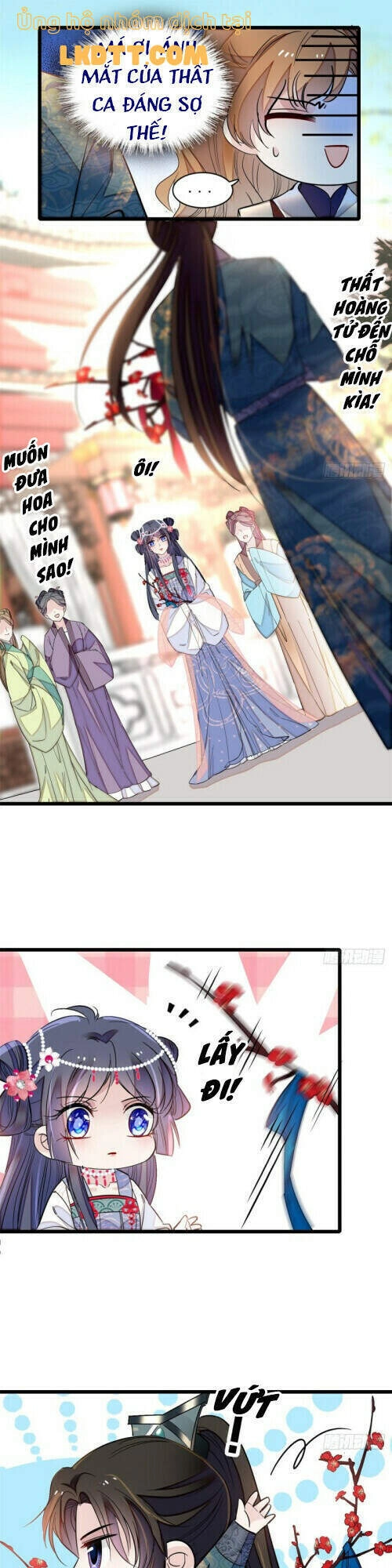 Tự Cẩm Chapter 126 - 23