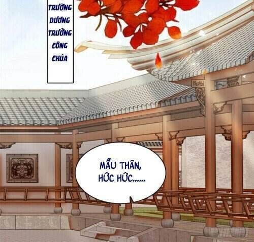 Tự Cẩm Chapter 132 - 11
