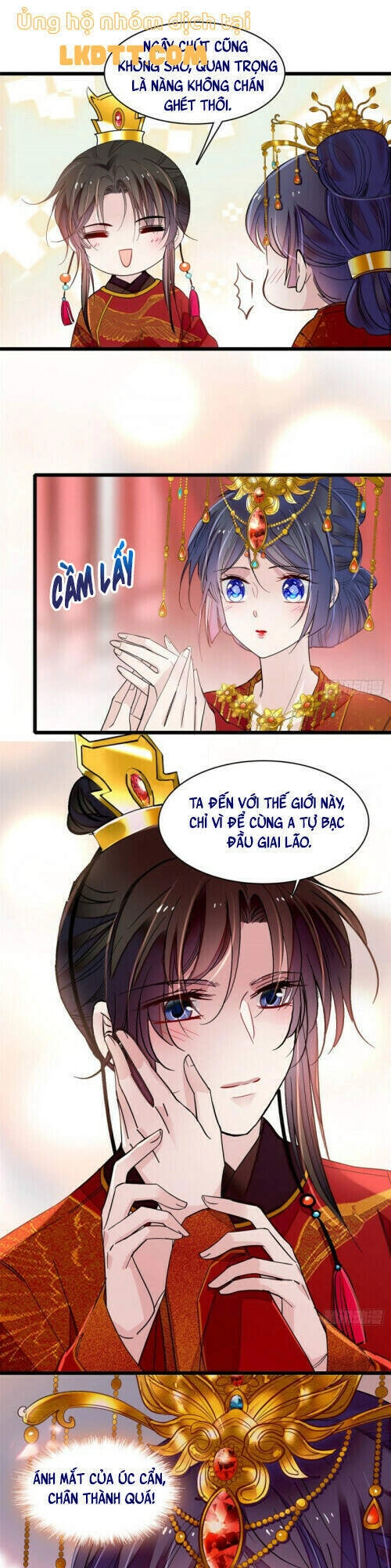 Tự Cẩm Chapter 135 - 9