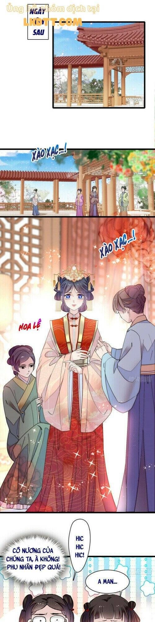 Tự Cẩm Chapter 136 - 16