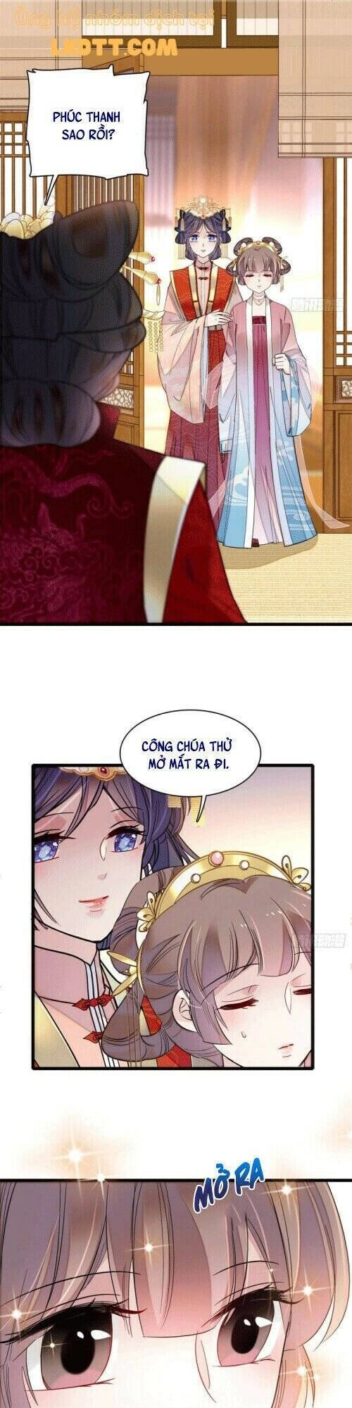 Tự Cẩm Chapter 138 - 8