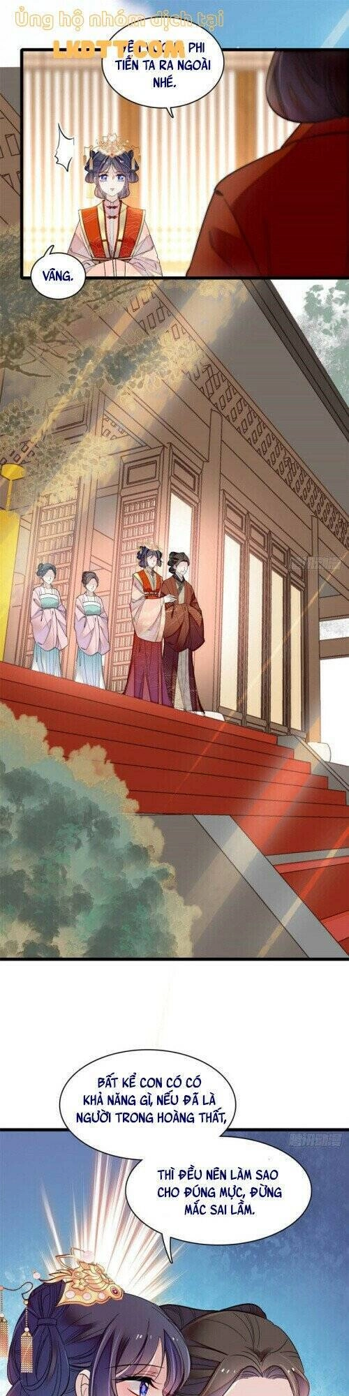 Tự Cẩm Chapter 138 - 24