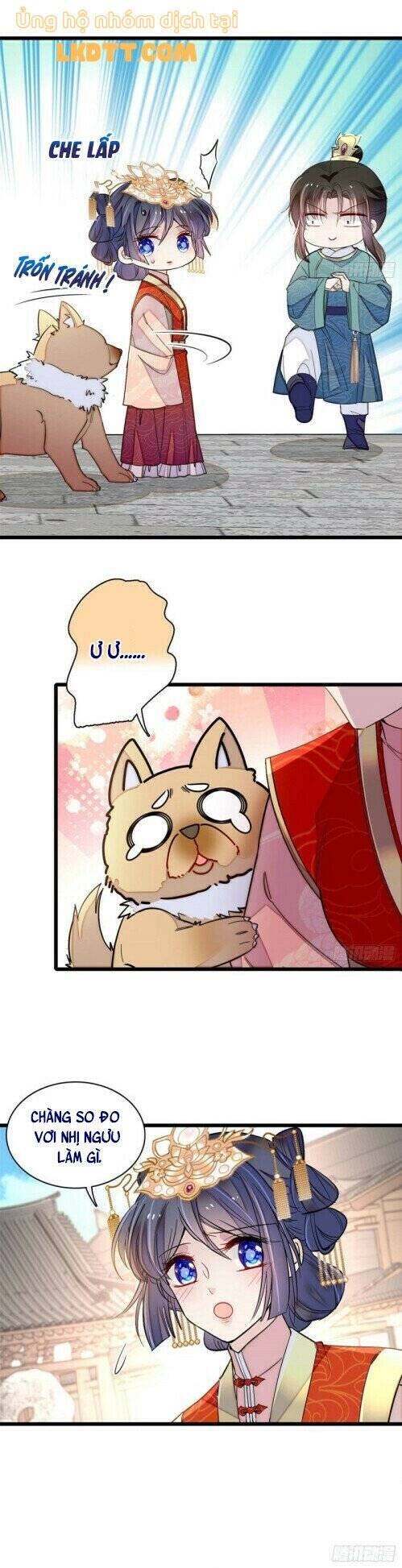 Tự Cẩm Chapter 140 - 5