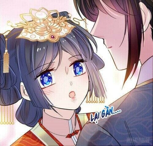 Tự Cẩm Chapter 140 - 7