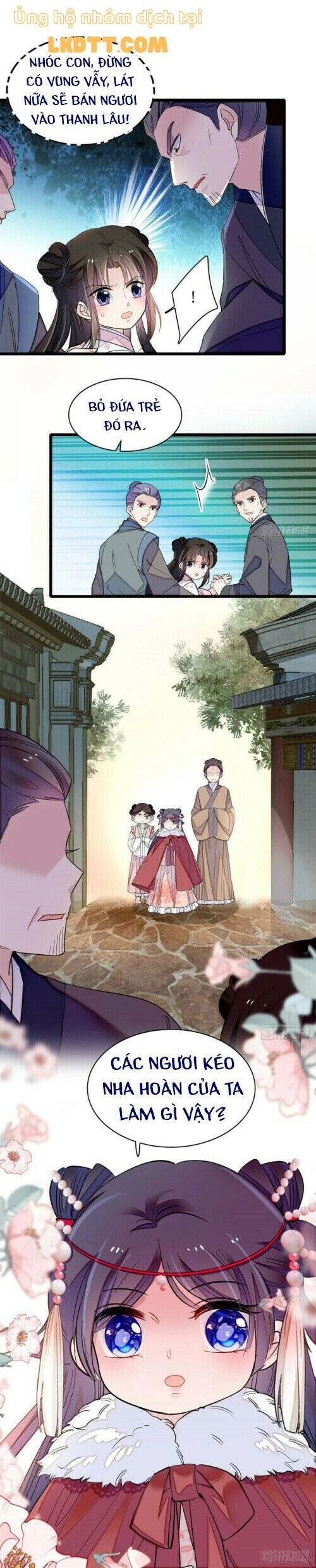 Tự Cẩm Chapter 141 - 16