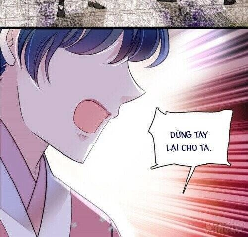 Tự Cẩm Chapter 147 - 5