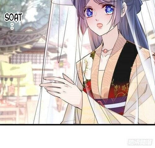 Tự Cẩm Chapter 147 - 23