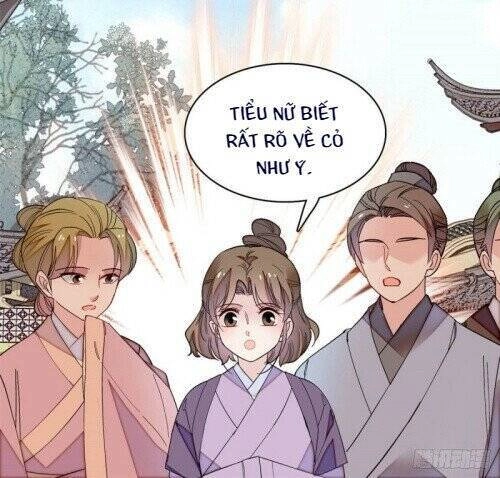 Tự Cẩm Chapter 147 - 25