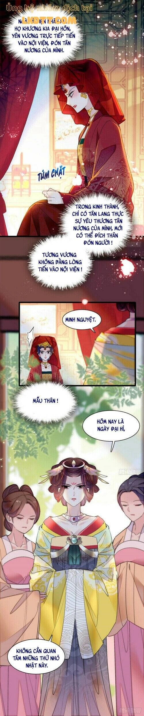 Tự Cẩm Chapter 152 - 3