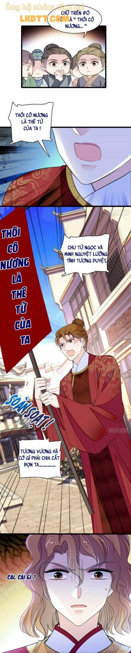 Tự Cẩm Chapter 152 - 11