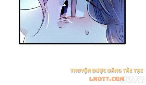 Tự Cẩm Chapter 156 - 28