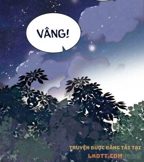 Tự Cẩm Chapter 157 - 4