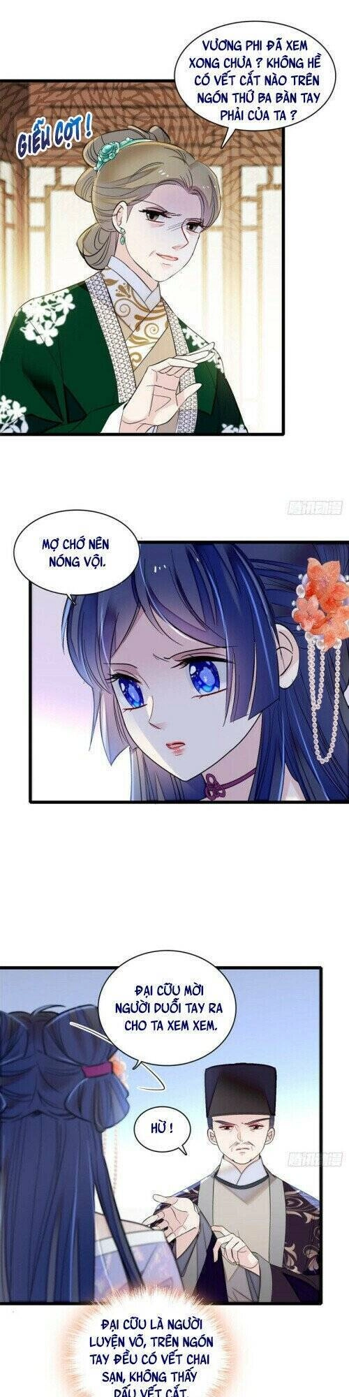 Tự Cẩm Chapter 161 - 4