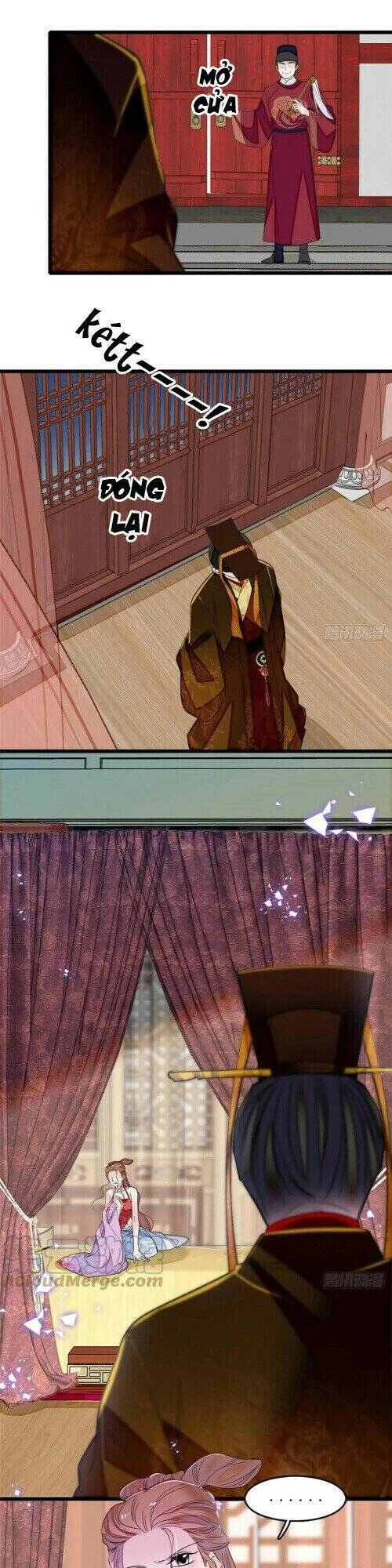 Tự Cẩm Chapter 178 - 15