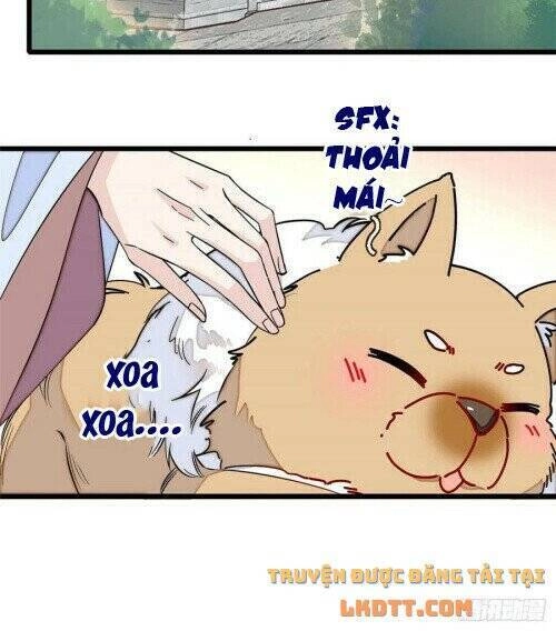 Tự Cẩm Chapter 178 - 28