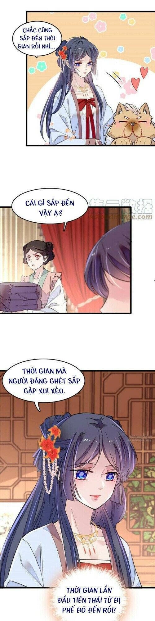 Tự Cẩm Chapter 178 - 29