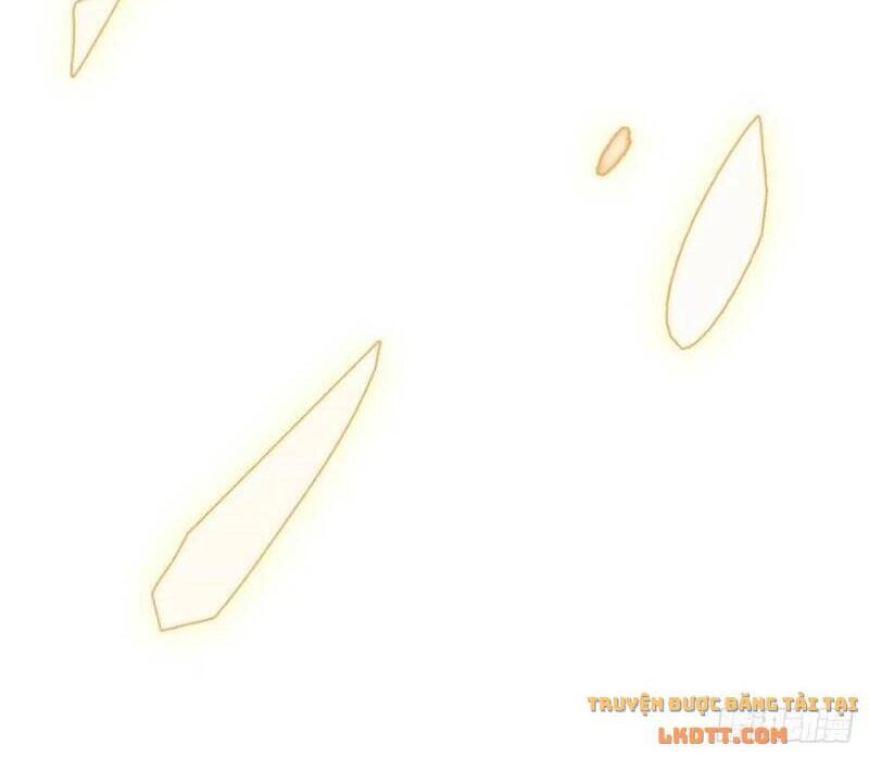 Tự Cẩm Chapter 179 - 37