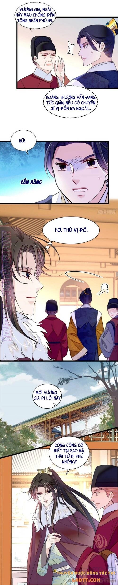 Tự Cẩm Chapter 181 - 7