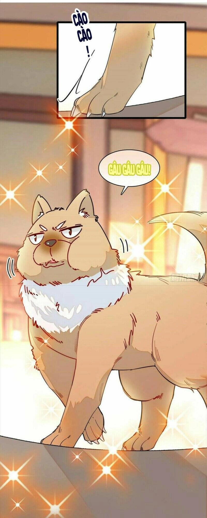 Tự Cẩm Chapter 193 - 39