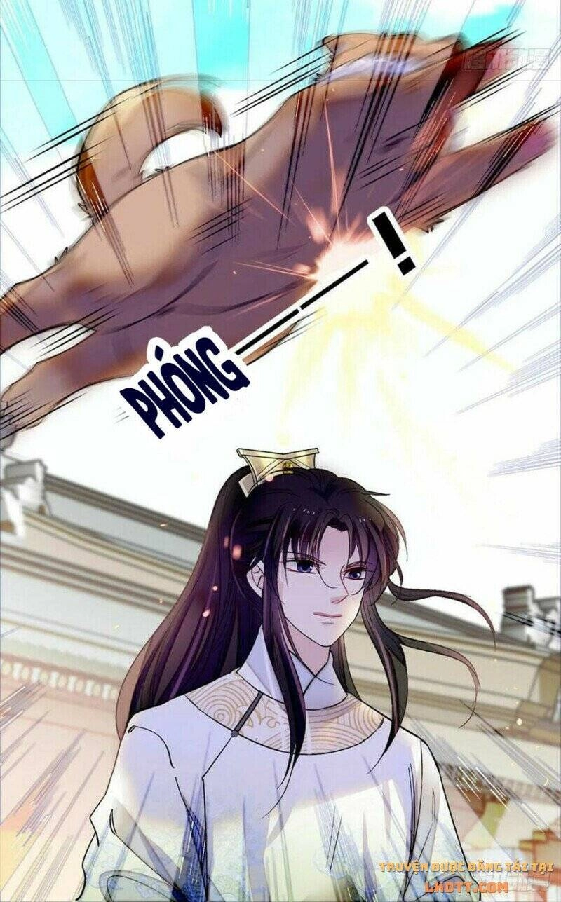 Tự Cẩm Chapter 194 - 19