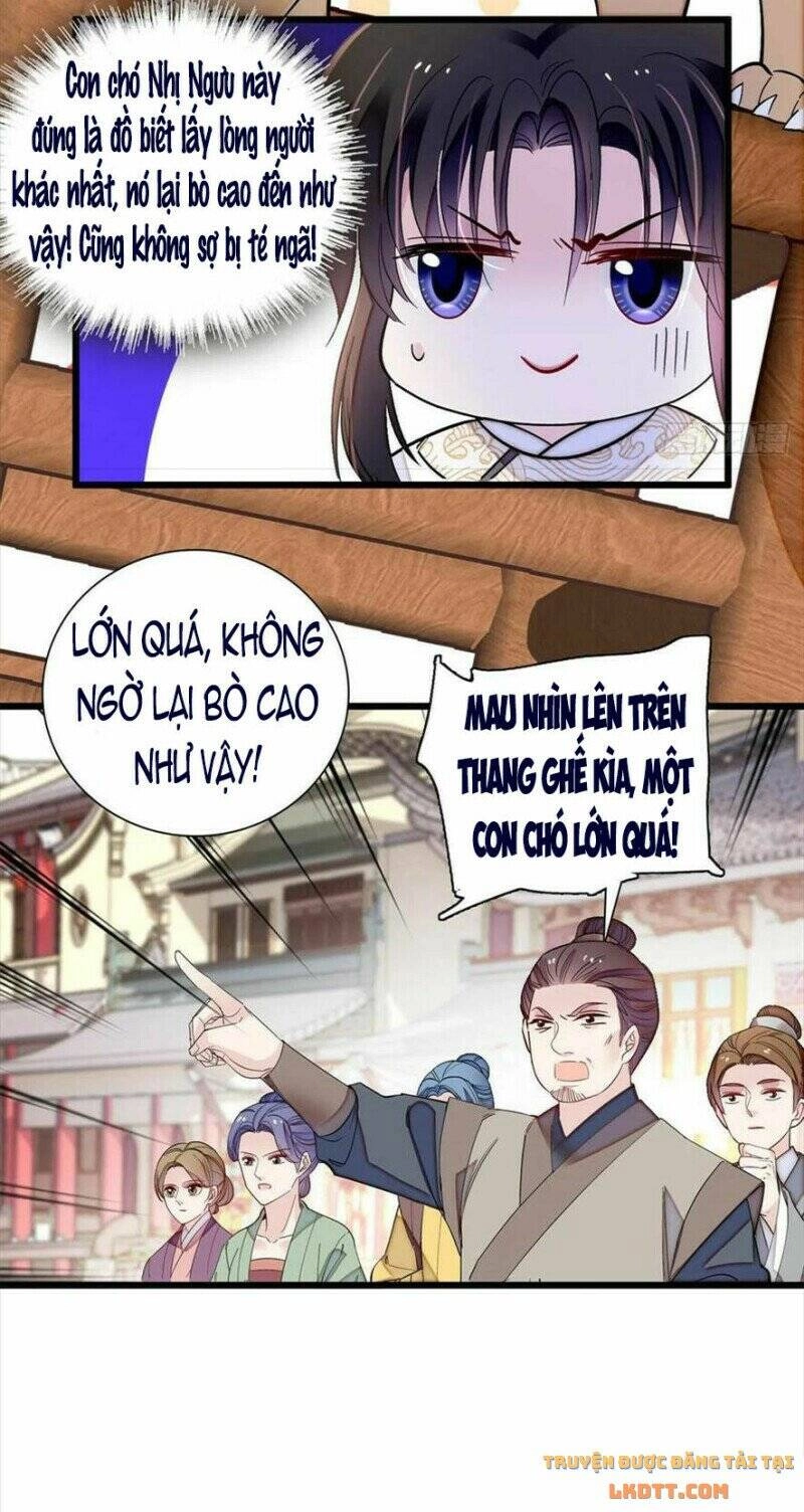 Tự Cẩm Chapter 194 - 22