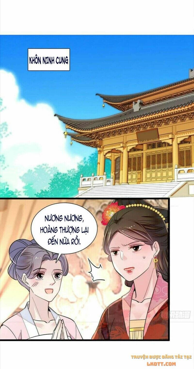 Tự Cẩm Chapter 194 - 36