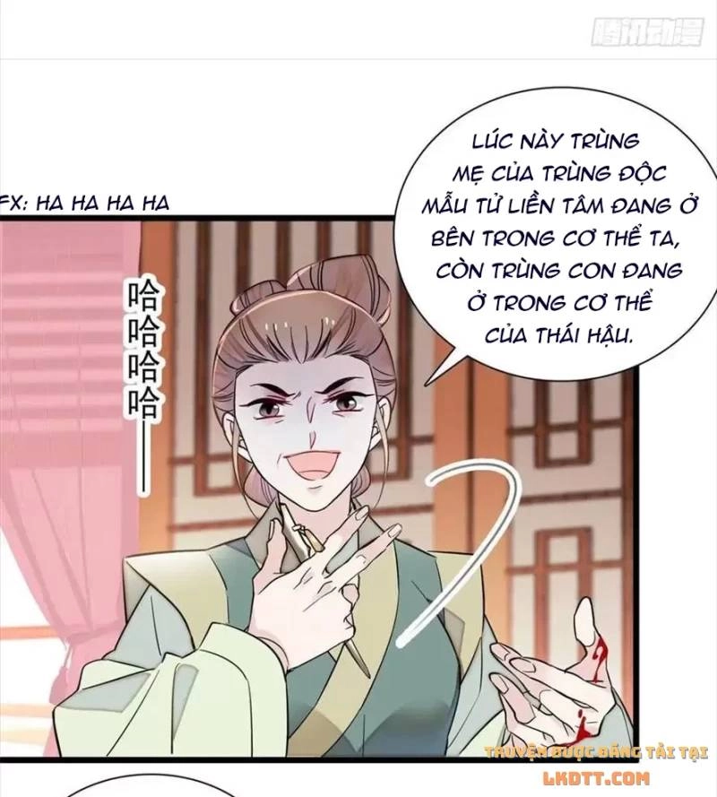 Tự Cẩm Chapter 197 - 6